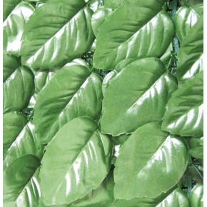 Arella Siepe 1x20 Artificiale Lauro Sempreverde Giardino Balcone Sintetica Finta 2
