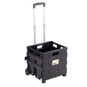 Carrello Pieghevole con Cassa Plastica Porta Spesa Bravetta Trasporto Giardino