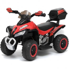Mini Quad Elettrico a Batteria 6 V Auto Macchina Bambino | BricoShop24