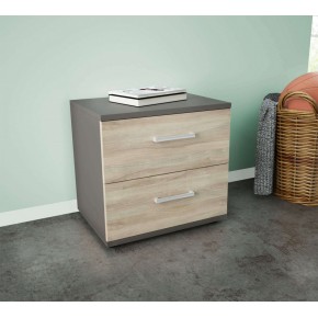 Mobile Comodino con 2 Cassetti Grigio Olmo Camera da Letto Design 2
