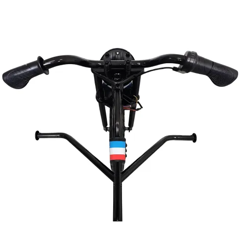Triciclo Elettrico Bambini 24V Nero 3 Ruote 2 Motori Luci LED