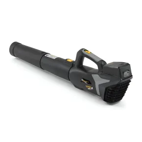 Soffiatore a Batteria 20V 4Ah Leggero per Pulizia Giardino Portatile