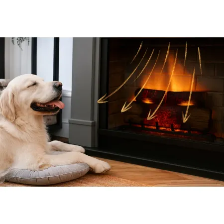 Camino Elettrico Tagu Larsen PowerFlame2 Bianco 1600W