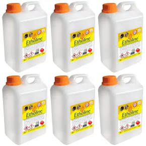 Combustibile Bioetanolo 6 Taniche 2L per Biocamini e Biostufe Inodore