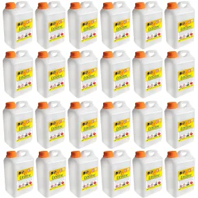 Combustibile Bioetanolo 24 Taniche 2L per Biocamini e Biostufe Inodore