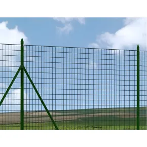 10 Paletti da 250 cm in Ferro Plastificato Verde Pali a T per Terreni 2