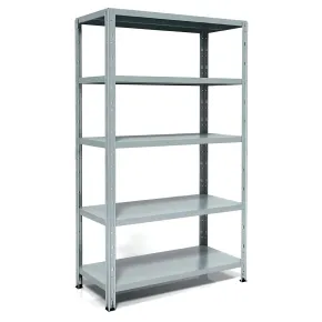 Scaffali 5 Ripiani Rinforzati 120x50 in Metallo Scaffalatura Modulare