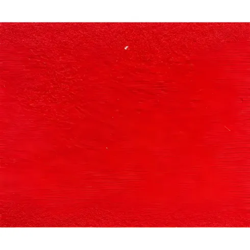 Tappeto Moquette 1x30 m Rosso Passatoia Antiscivolo da Esterno Interno