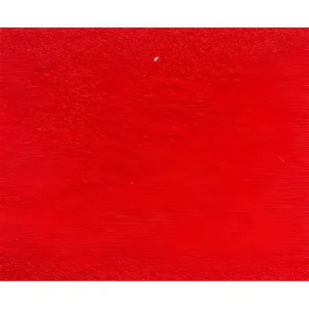Tappeto Moquette 1x30 m Rosso Passatoia Antiscivolo da Esterno Interno