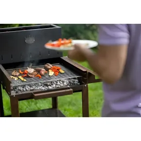 Barbecue a Legna 45x50 cm Acciaio Corten con Griglia Inox Regolabile 2