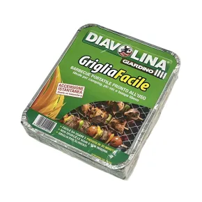 Barbecue Portatile a Carbonella 32x25x5 cm Leggero Compatto