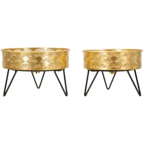 Set 2 Portavasi Bassi Metallo Nero Oro 20 e 18 cm Vasi Rimovibili