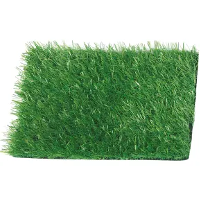 Prato Sintetico 5x1 m UV Resistente 20 mm Verde Effetto Erba Lattice