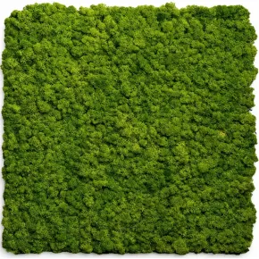 Set 2 Pannelli Fonoassorbente Acustico Effetto Muschio Erba 60x60 cm