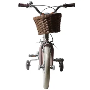 Bicicletta 16" Bambini Rotelle Removibili Verde Regolabile Cestino 2