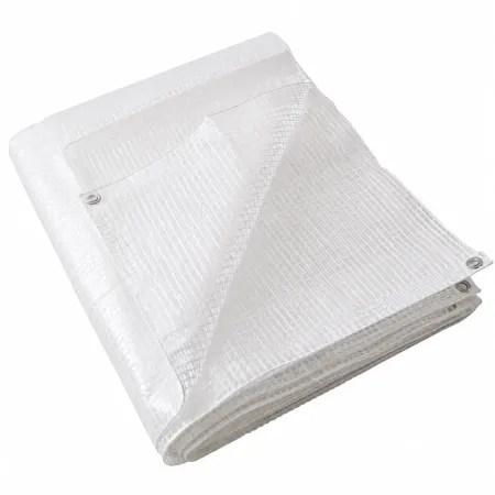 Telo Occhiellato Copertura Impermeabile 5x8 m Lavabile PE Bianco