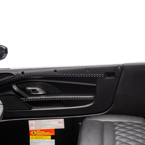 Auto Elettrica per Bambini Audi R8 Big 24V Rosa con Sedile in Pelle