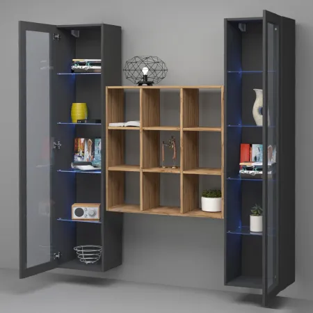 Parete Attrezzata Soggiorno TV 170 cm Antracite con Vetrine Libreria