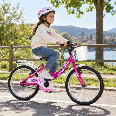 Bicicletta 20" per Bambini Fucsia 1 Velocità con Cestino Portapacchi