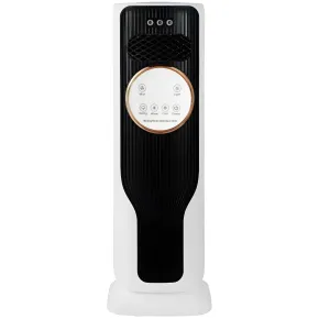 Raffrescatore Termoconvettore 2 in 1 Elettrico 2kW Nero Caldo Freddo 2