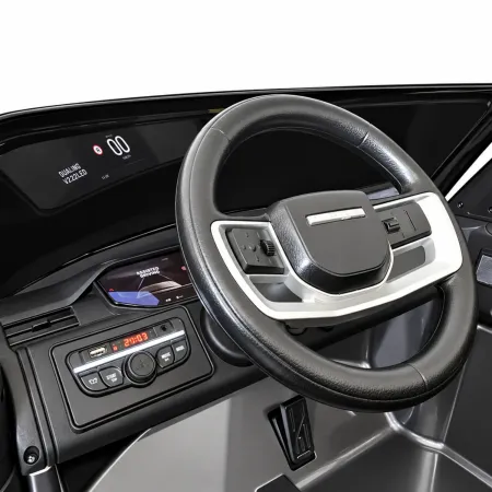 Range Rover 4x4 Vogue Grigio 24V Macchina Elettrica per Bambini