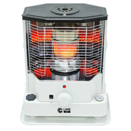 Stufa a Combustibile Bianco 2400W Portatile 4,2L Camino Metallo Vetro